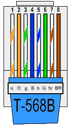 acoso Inducir Máquina de recepción Identifying the Wires Connected to a RJ-45 Connector Terminated Ethernet  Cable – FlexRadio